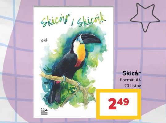 Skicár