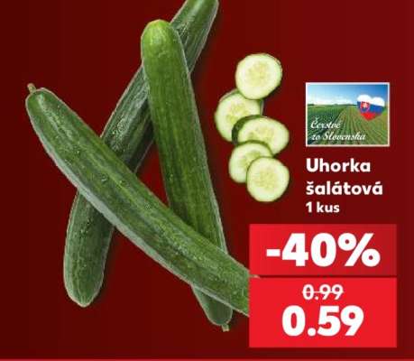 Uhorka šalátová