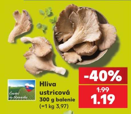 Hliva ustricová 300 g balenie