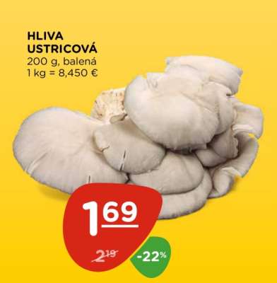 Hliva ustricová
