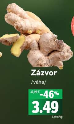 Zázvor