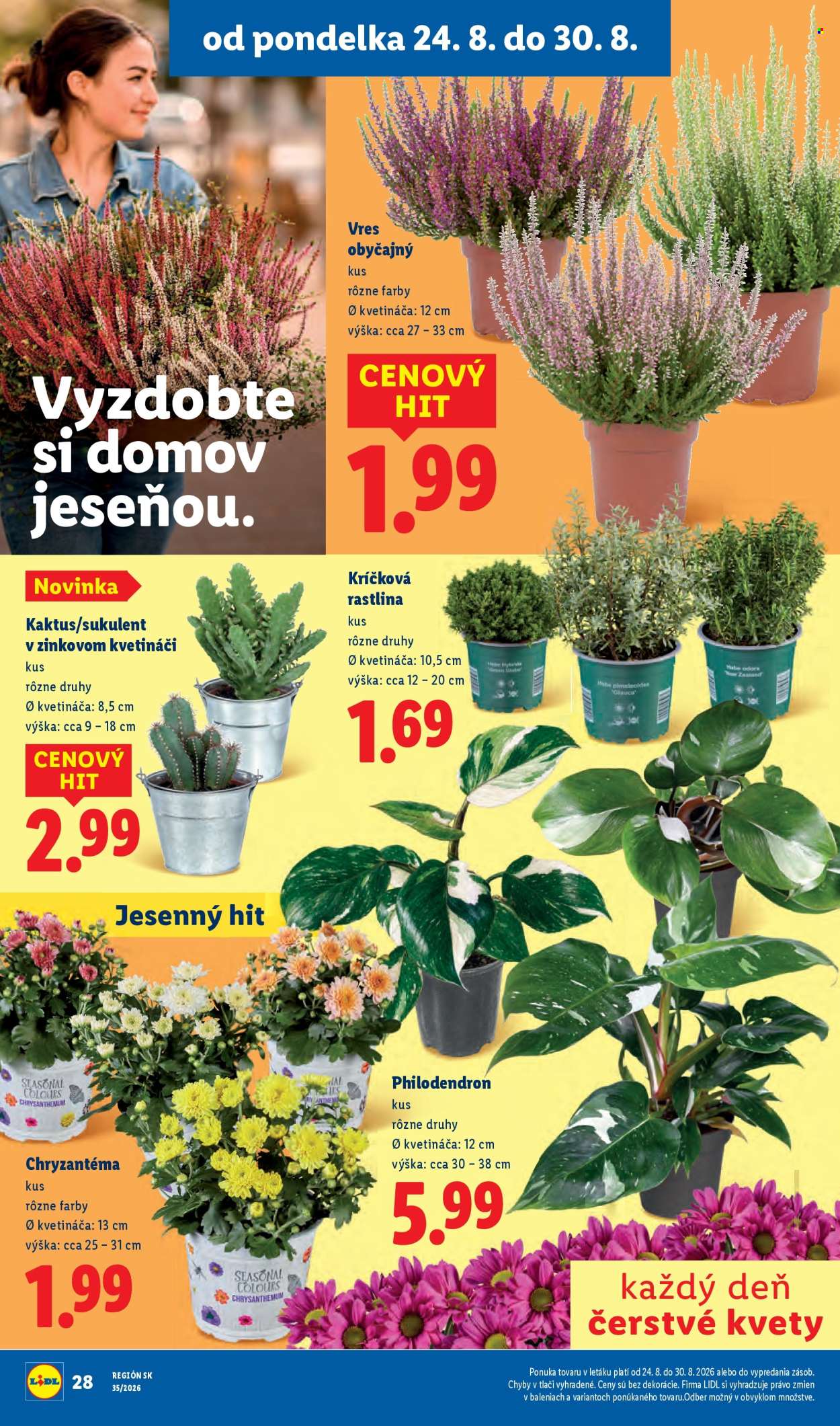 Leták Lidl - 24.8.2026 - 30.8.2026. Strana 51