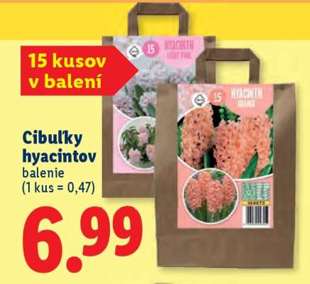 Cibuľky hyacintov
