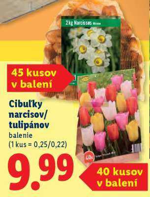 Cibuľky narcisov/tulipánov balenie