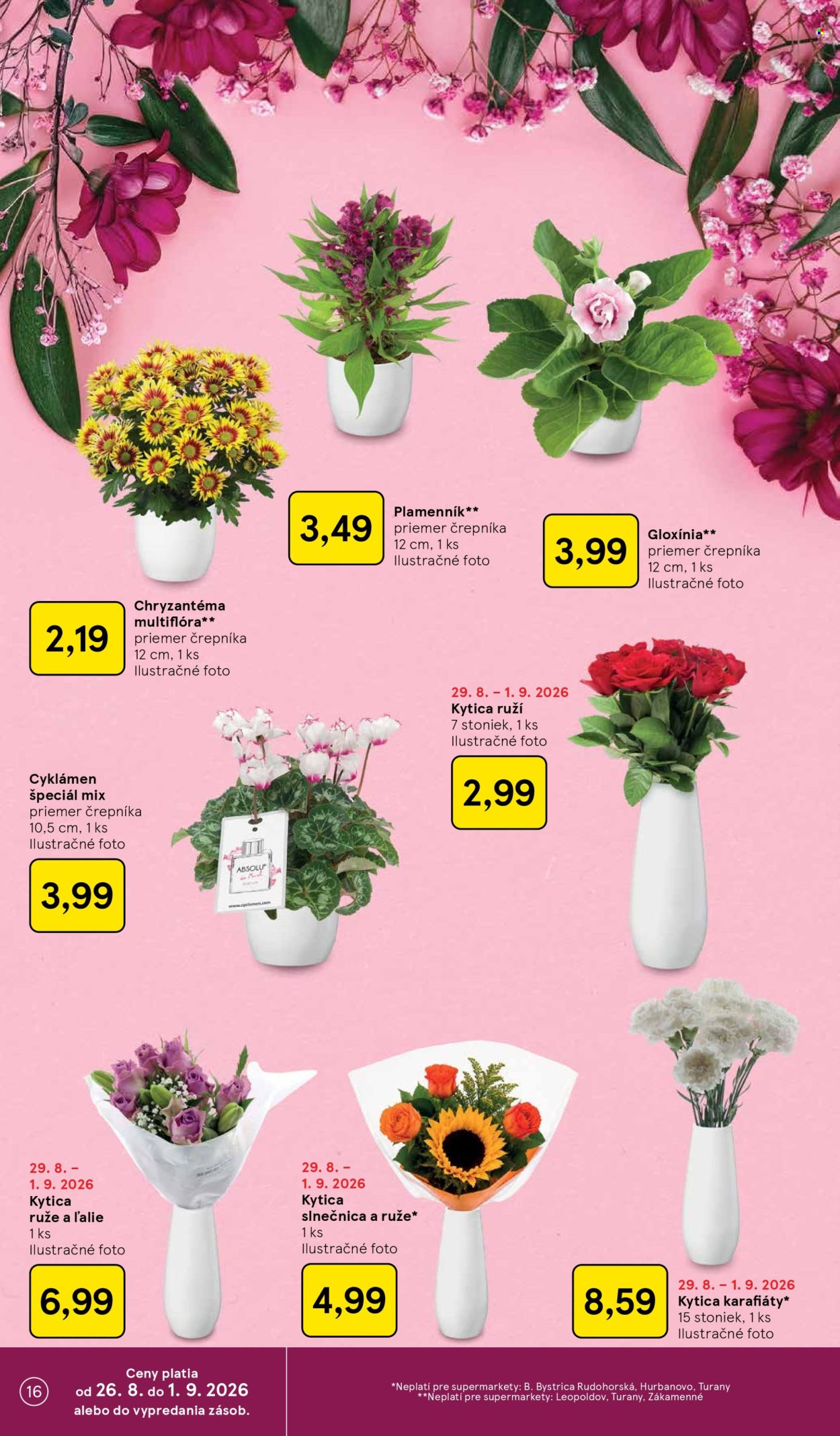 Leták TESCO supermarket - 26.8.2026 - 1.9.2026. Strana 16