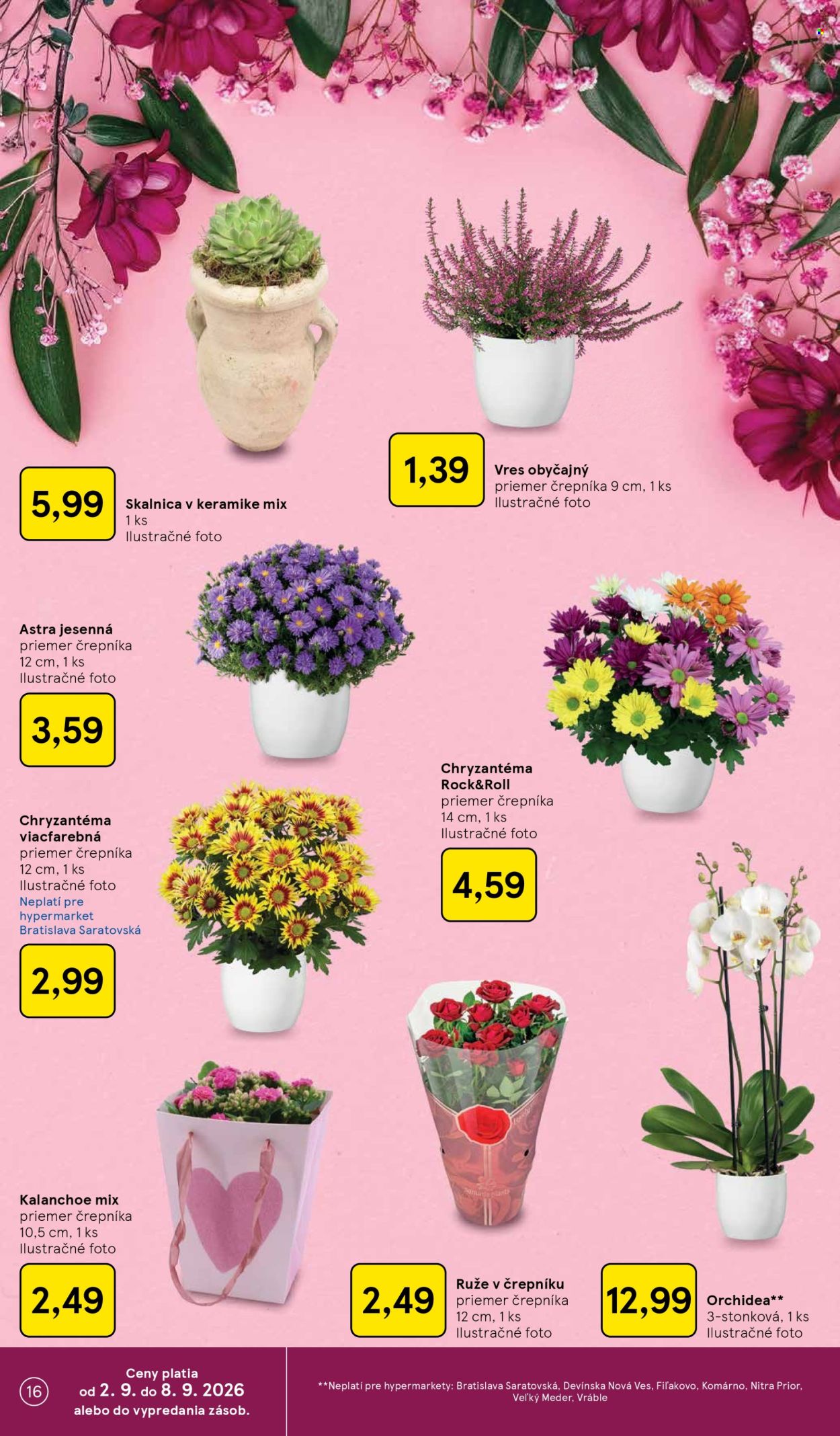 Leták TESCO - 2.9.2026 - 8.9.2026. Strana 16