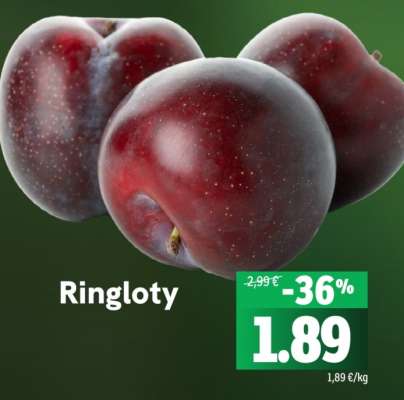 Ringloty