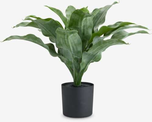 Umelá rastlina ERIKSEN Ø49xV44 cm zelená