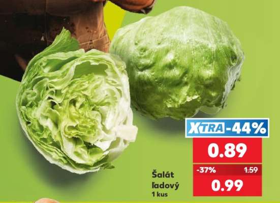 Šalát ľadový