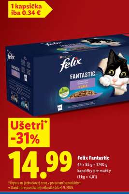 Felix Fantastic
