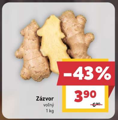 Zázvor