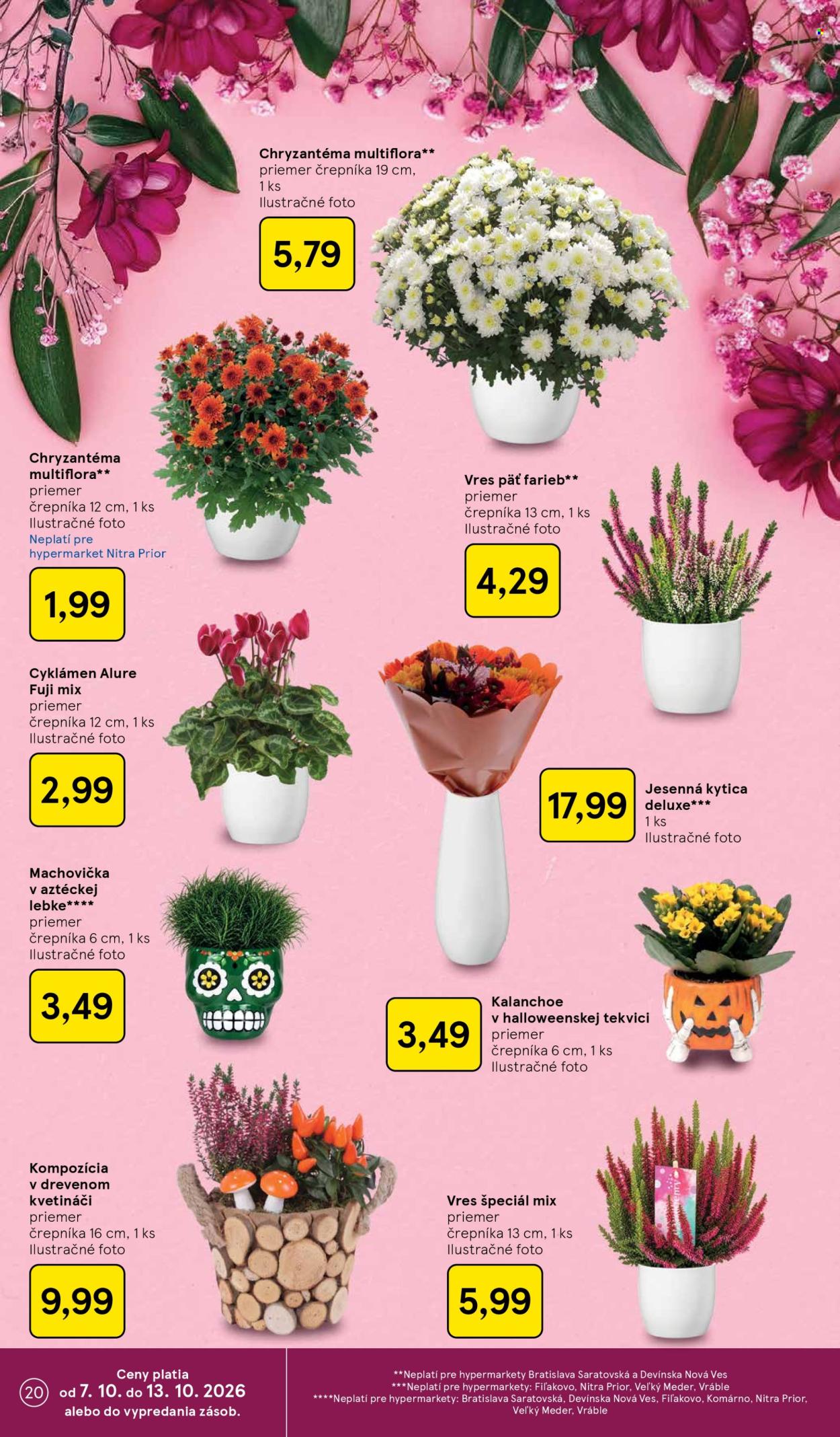 Leták TESCO - 7.10.2026 - 13.10.2026. Strana 20