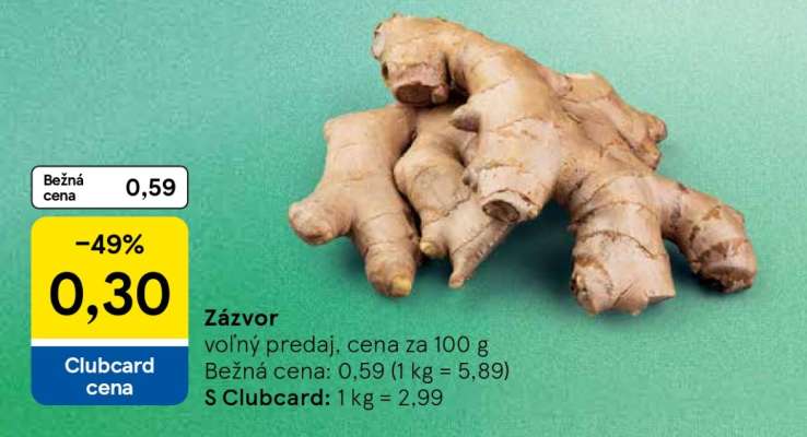 Zázvor