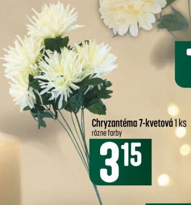 Chryzantéma 7-kvetová 1 ks