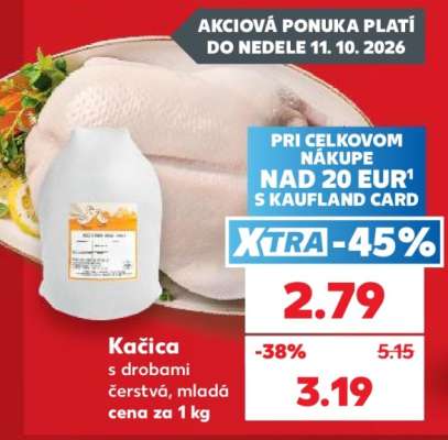 Kačica