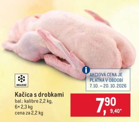 Kačica s drobkami