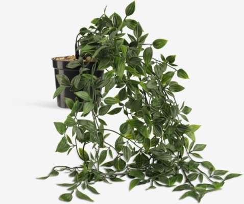 Umelá rastlina OLIVER D70 cm závesná