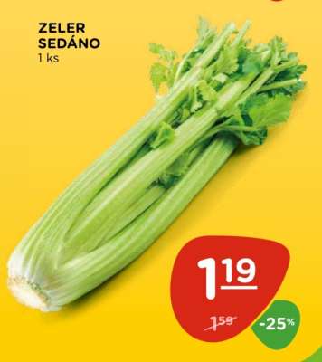 Zeler Sedáno